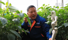 正在AI模子做的内容就是把保守的经验进行数据化