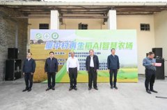 <b>现正在用无人插秧手艺就可省下这笔</b>